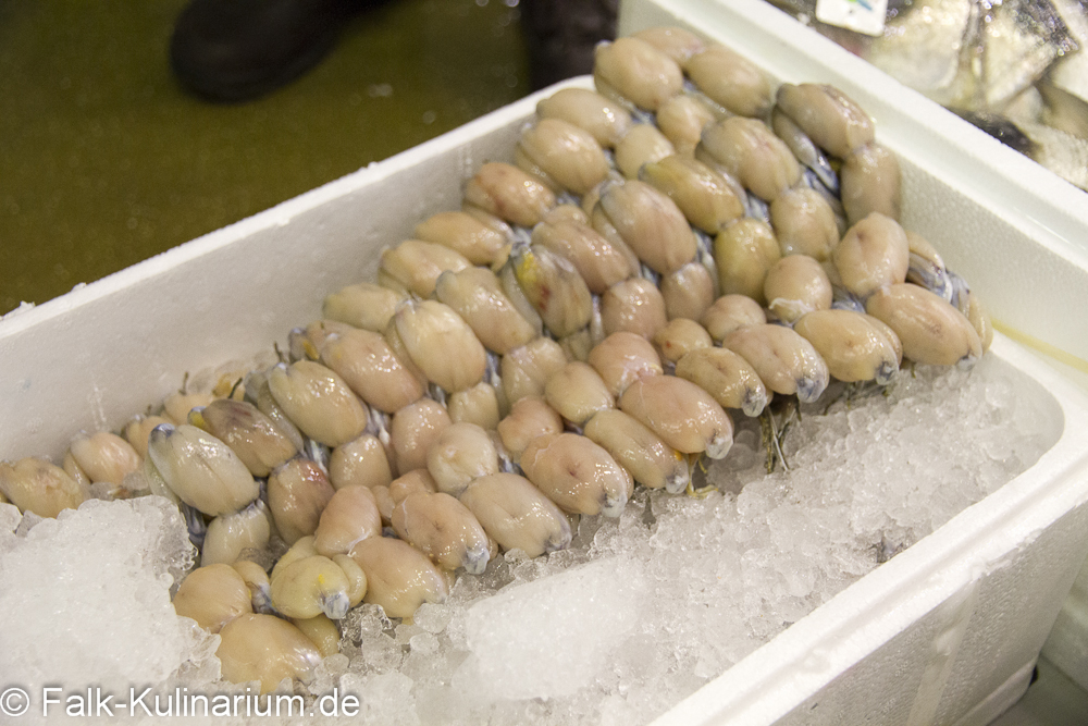 Froschschenkel auf dem Fischmarkt Rungis in Paris