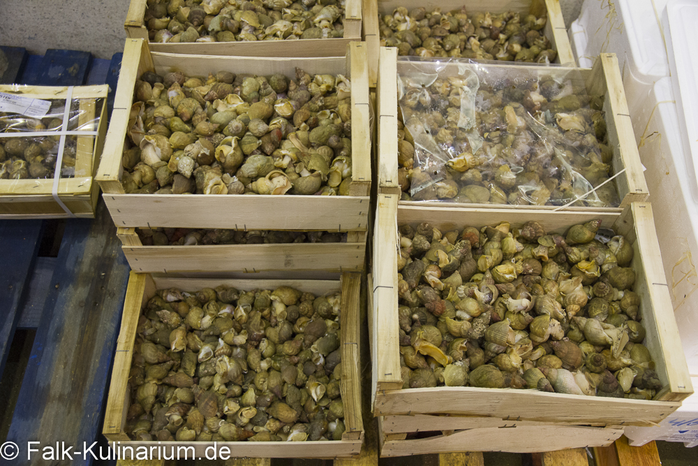 Muscheln auf dem Fischmarkt Rungis in Paris