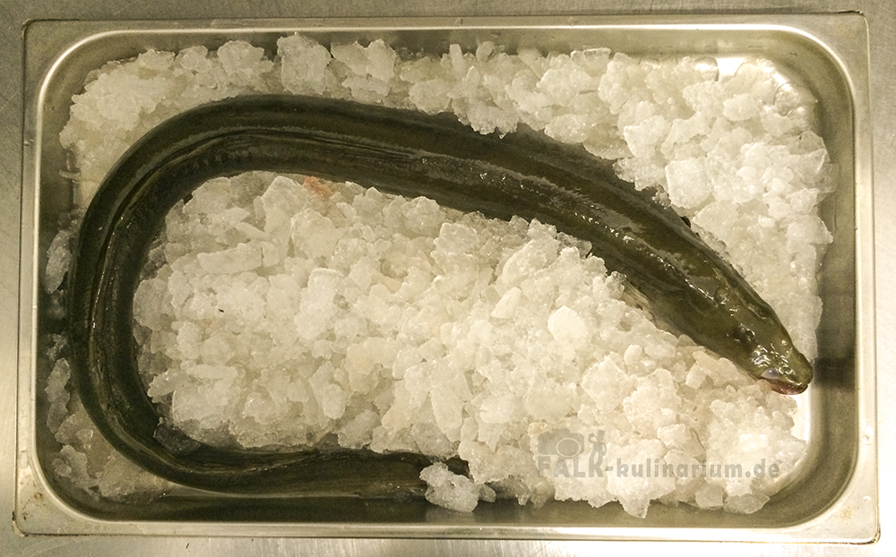 Frischer grüner Aal auf Eis