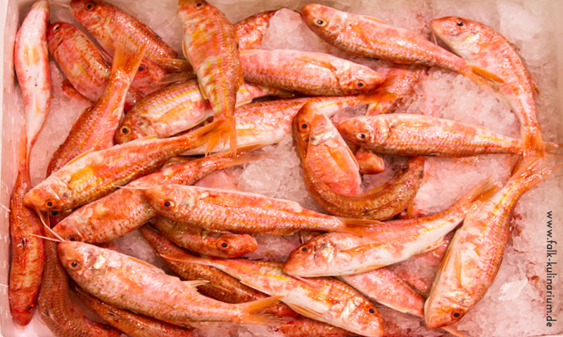 Woran erkennt man frischen Fisch?