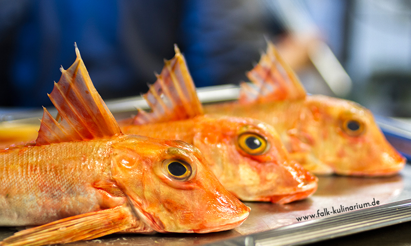 Woran Erkennt Man Ob Geräucherter Fisch Noch Gut Ist Falk KulinariumWoran man frischen Fisch erkennt! - Falk Kulinarium