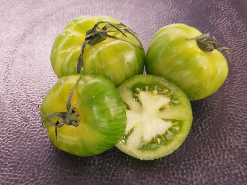 frische grüne Tomaten 